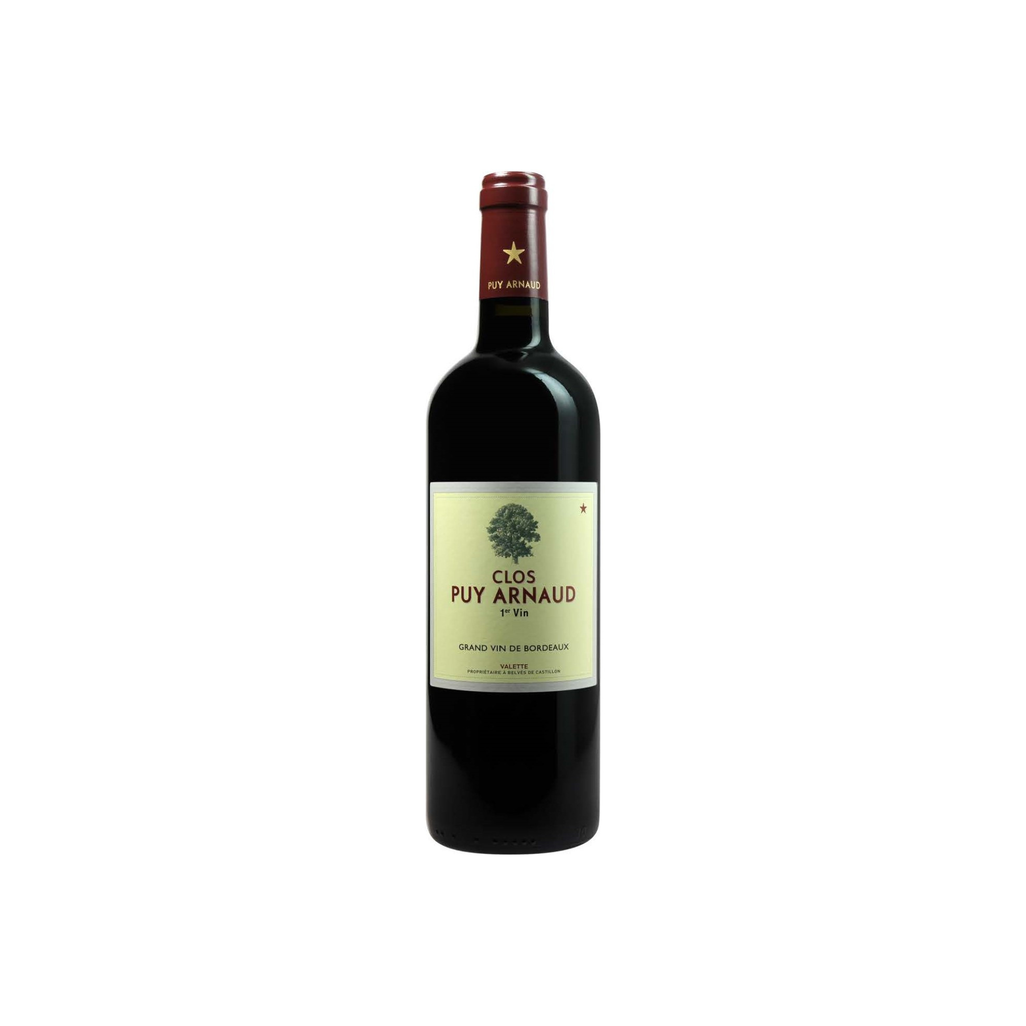 Clos Puy Arnaud Castillion Cotes de Bordeaux Grand Vin – The