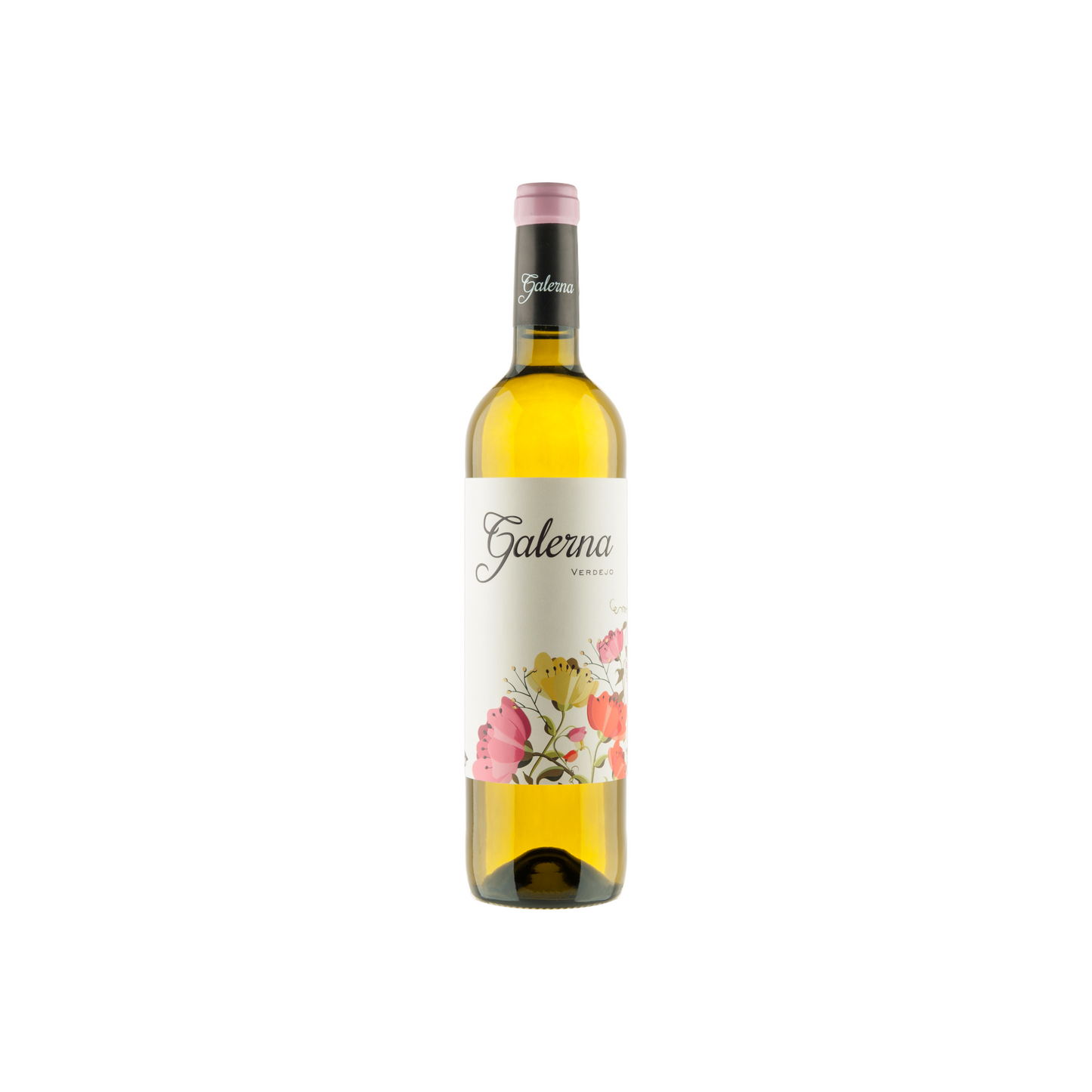 Dominio de Punctum - Galerna Verdejo