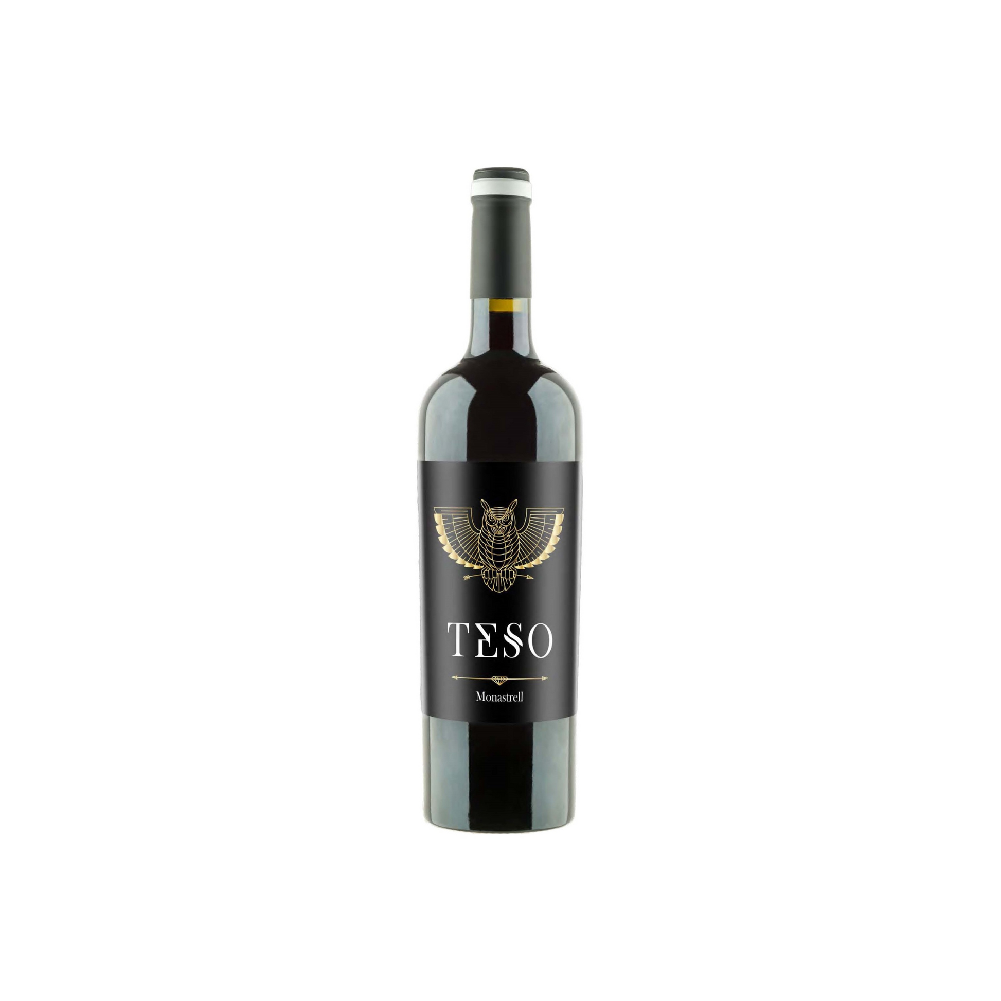 Tierra Secreta Teso Monastrell